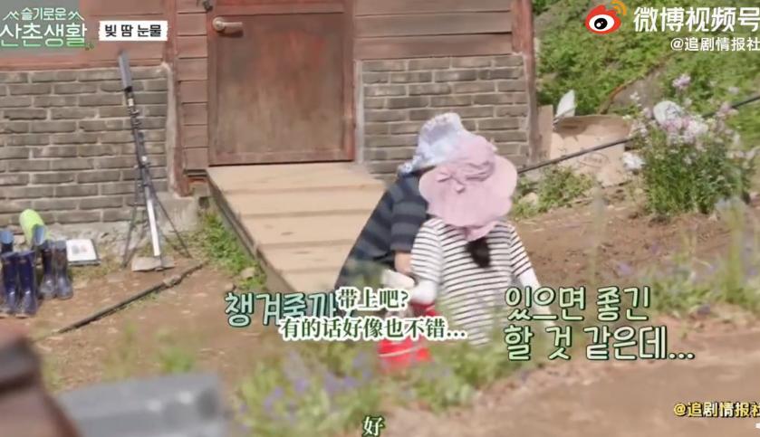 柳演锡申贤彬为什么叫wintergarden,罗英锡曺圭贤