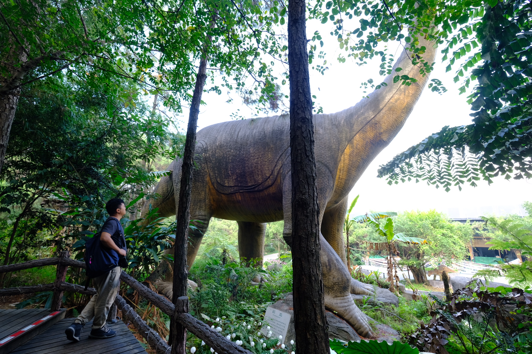 森波拉森林景区,广东清远森波拉旅游度假区