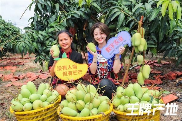 我们应该如何理性对待直播带货,直播带货哪些属于利益诱导