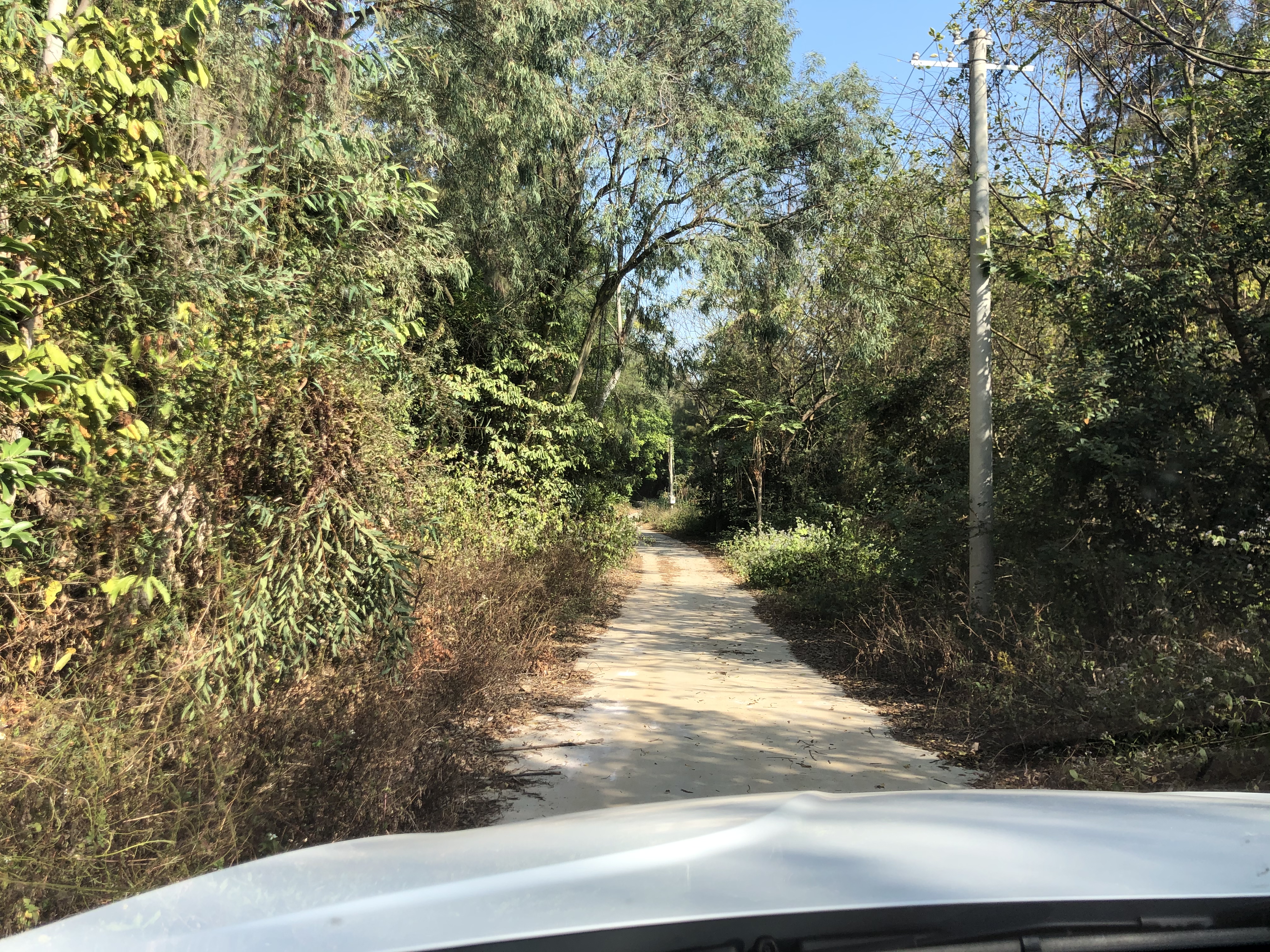 从北海一路开车到越南，都遇到了什么？