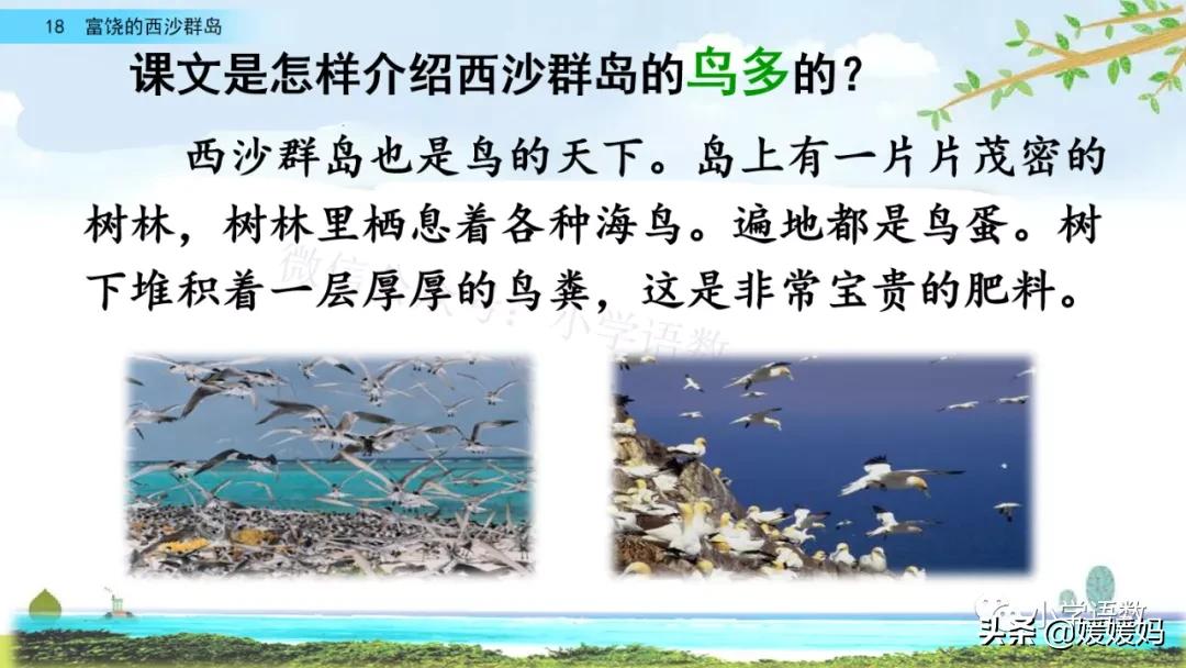 三年级第18课富饶的西沙群岛视频,三年级上册18富饶的西沙群岛笔记