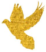 内蒙古三八红旗手,三八红旗手集体拟表彰名单公示