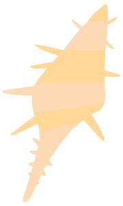 海水鱼缸微缸,如何打造一个海水缸