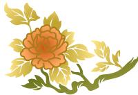 养生堂20201月29日视频全集,北京卫视养生堂巧护督脉寿百年