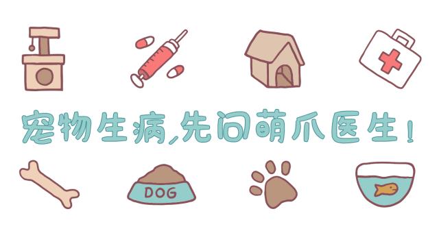 双11的猫粮跟平时的不一样,双11猫粮价格