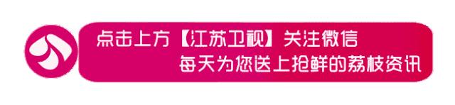 蒙面唱将猜猜猜杨魏玲花,蒙面唱将杨魏玲花