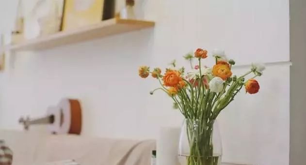 多种花材该如何插花,插花必备的几种花