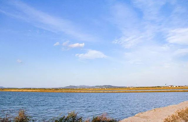 金秋红蜜桃打破吉尼斯世界纪录,金秋红蜜吉尼斯世界纪录