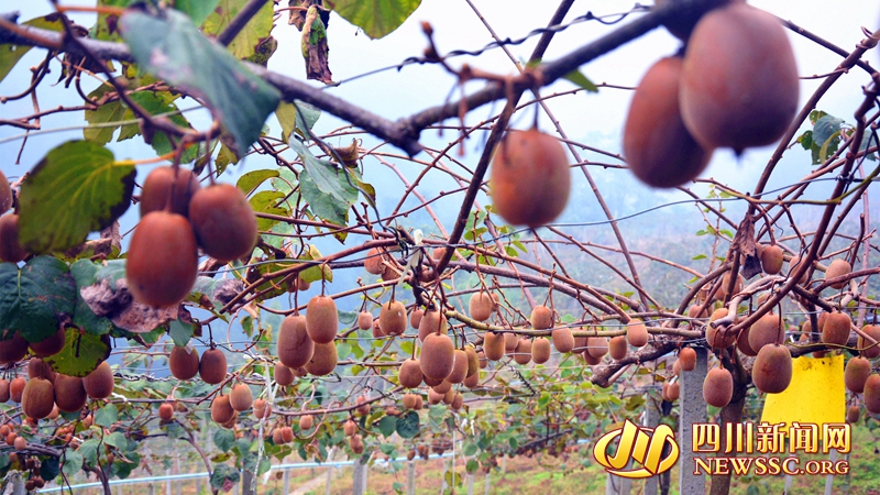 创新扶贫方式添活力,激发扶贫内生动力措施