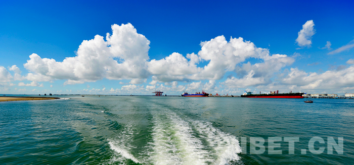 湛江建设成为区域性海洋中心城市,湛江美丽海湾城市