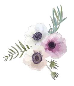 三清山游客评论,三清山评价