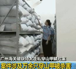 这一回，用了86年的“鳄鱼logo”再次被换，只为保护濒危动物！网友：这是2019年最棒的公益