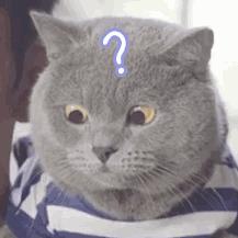 安庆市历年来的最低工资标准,今年安庆市最低工资标准是多少