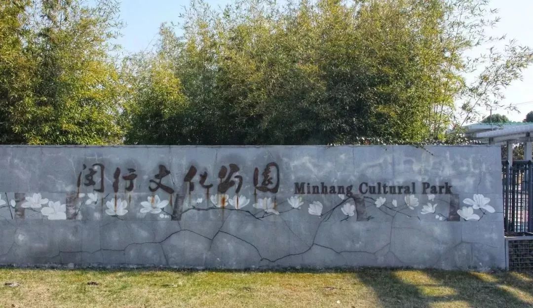 上海赏桂花好去处,江浙沪赏桂哪里去