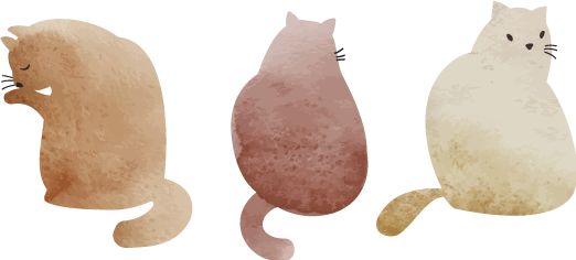 晨读别让人生输给心情,晨读你对生活的态度决定你的心态