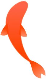 警方提醒:“锦鲤*局骗**”曝光,有的骗取个人信息……