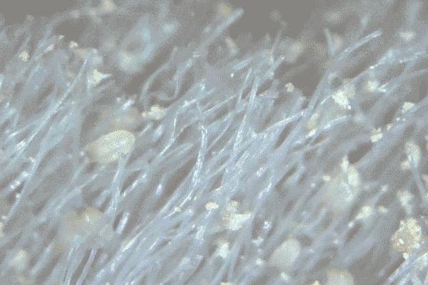 用这款植物香皂洗脸，3周除螨93.77%，痘痘明显改善，湿润不紧绷