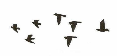 魏县水木清颜美容工作室,邯郸魏县创城规划