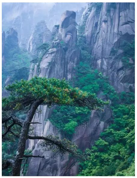 一周全国景区网络评价报告,三清山旅游评价