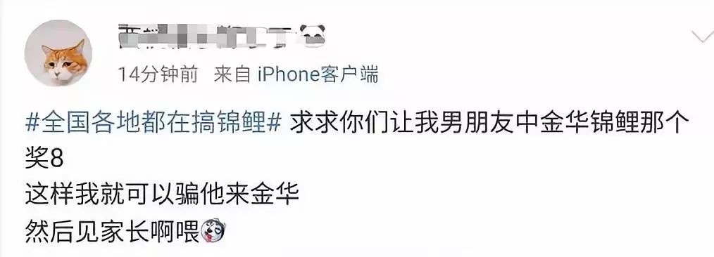 锦鲤骗局揭秘最新消息,锦鲤骗局新套路