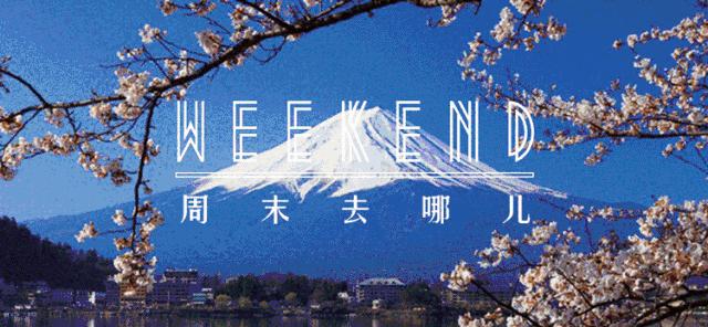 拒绝吃土吃狗粮,拒绝吃土