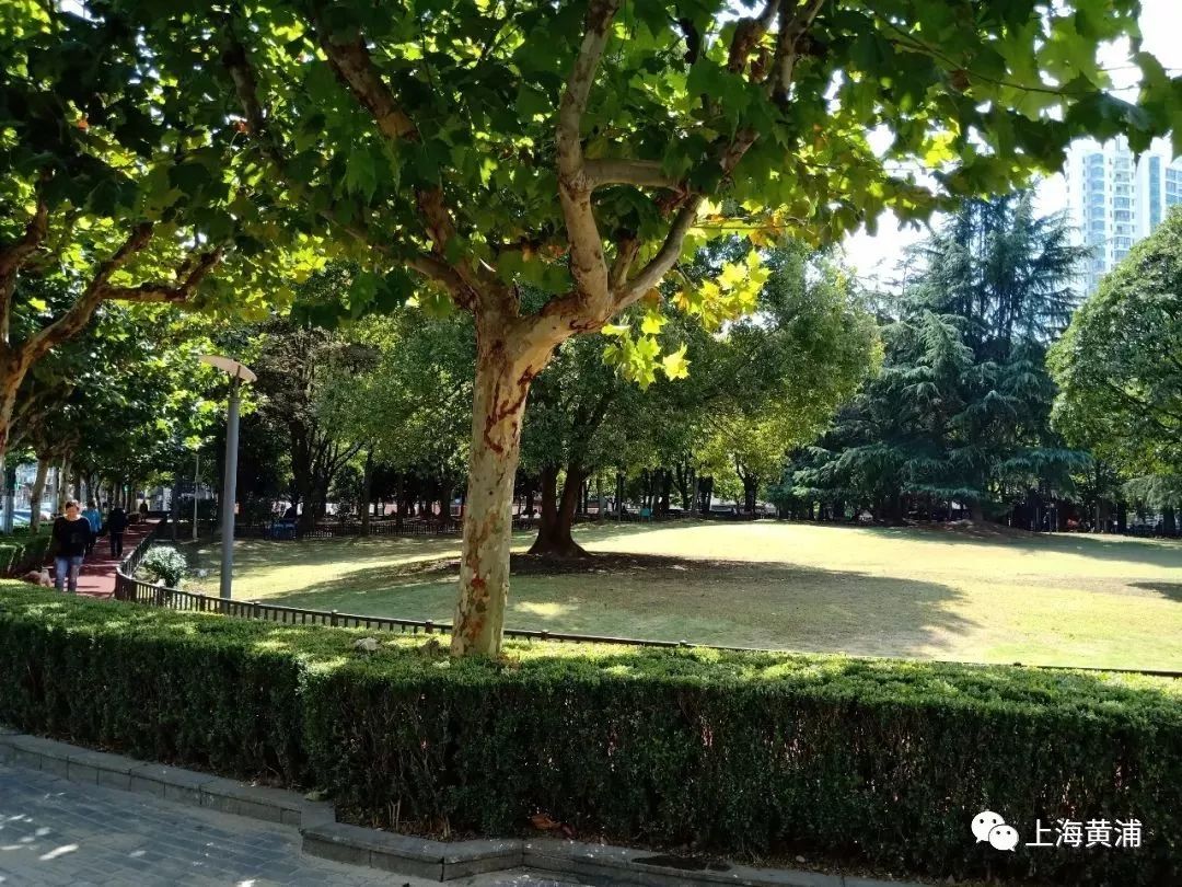 黄浦区延福绿地篮球场,黄浦区健身塑胶跑道工程