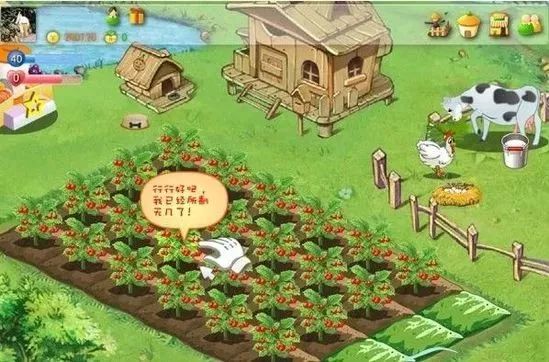 那些年你偷过的菜,还记得曾经偷过的菜么