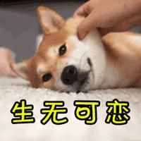 纸质火车票真的取消了吗,要取消纸质火车票了吗