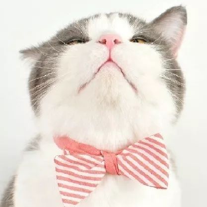 水肿病人怎么做皮试？送你两种特殊方法