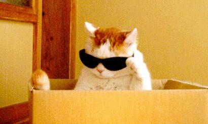 再过3天！东方眼镜一部重装开业！2店同庆！墨镜免费送！福利多到爆炸