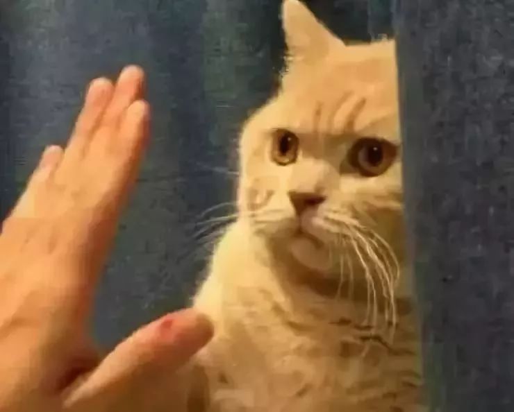 两个女孩合租一个房间得病,两个女生合租一个房子得病