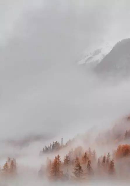 诗词｜中国水平最高的20首诗词，值得一读再读！