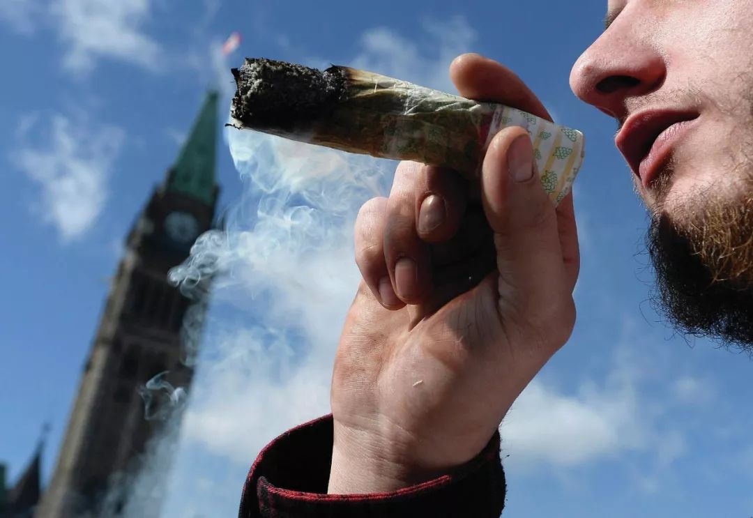 消遣类*麻大**即将合法化，加拿大人害怕了吗？