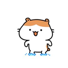 南京落户后身份证需要换吗,南京户口落户流程最新