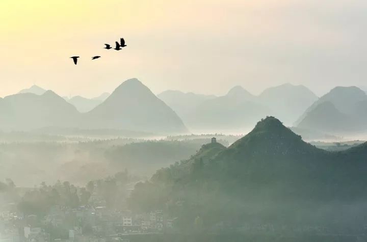 关于重阳节的一些信息,又到重阳