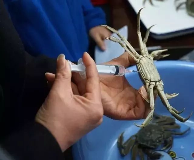 辟谣｜秋意凉，“谣言”盛，关于蟹的谣言，你可曾入“坑”？