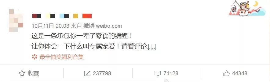 锦鲤骗局揭秘最新消息,锦鲤骗局新套路