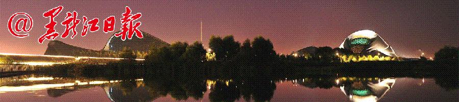 哈尔滨跨境电商综合试验区,哈尔滨自贸区跨境电商