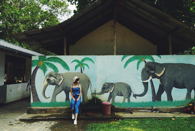 斯里兰卡10天自由行攻略,上海飞斯里兰卡路线