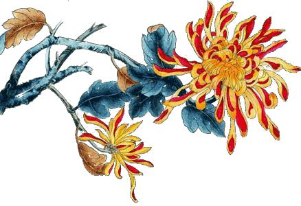 养生堂直播间预防脑梗,养生堂脑梗完整视频