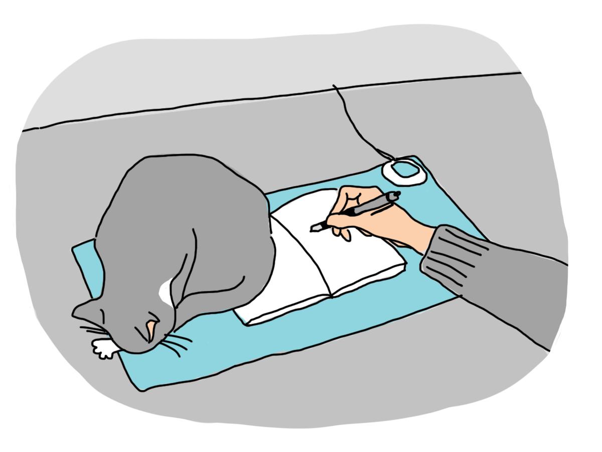 手脚冰凉的日子里，就靠它们续命了