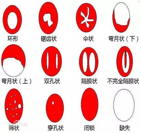 「看过来」感觉处女膜要长出来了~