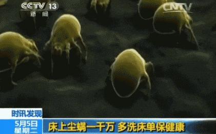 蚊子驱蚊驱虫,杀虫剂对蚊子有效又安全