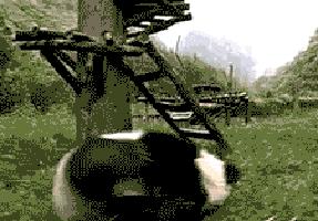 什么草可以让鸡下蛋,鸡吃什么草才能每天下蛋