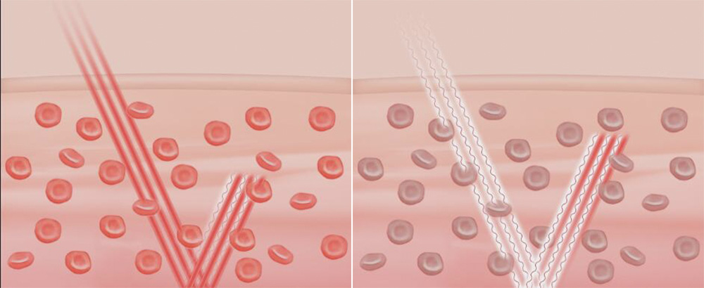 常常被忽略却又很重要的10件小事,一些被忽略的基本常识