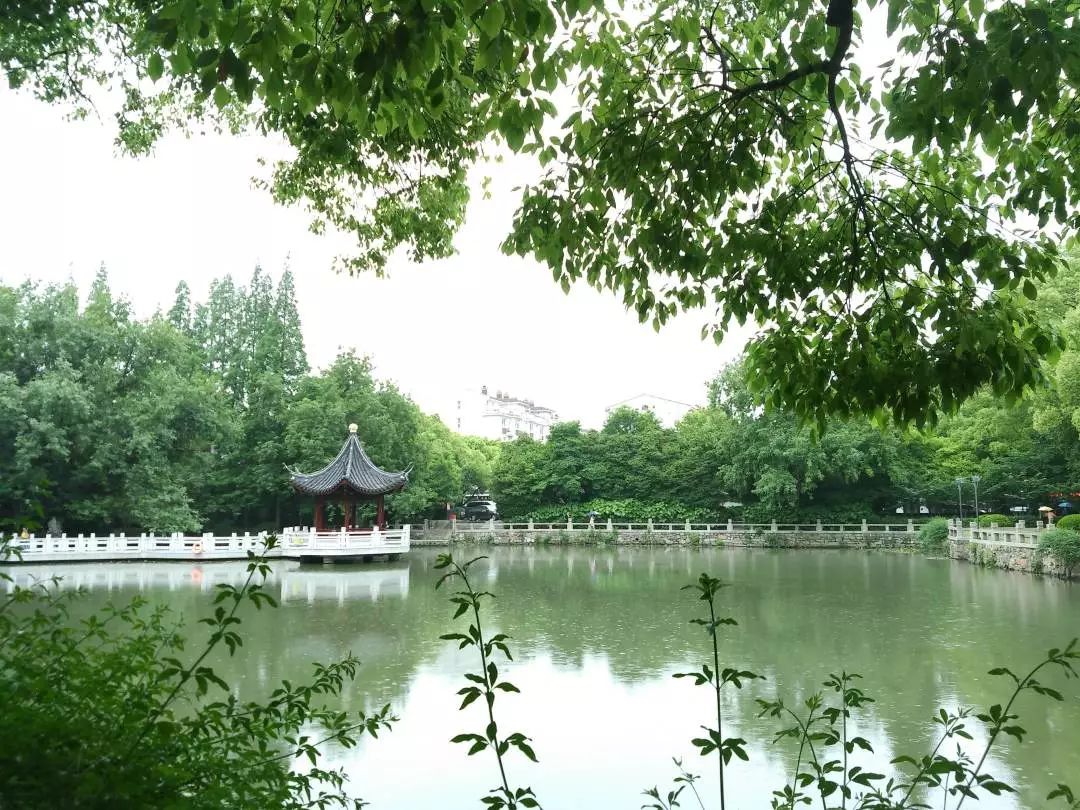 去有香味的地方,去有桂花的地方