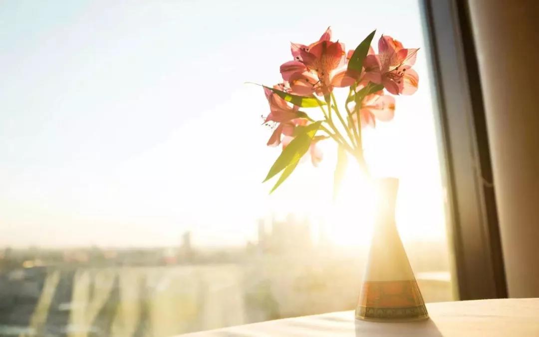 对宫颈癌疫苗纠结的小伙伴看过来，这些问题你真的需要了解