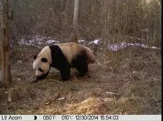 鳌太穿越和珠峰哪个难,禁止鳌太穿越的公告