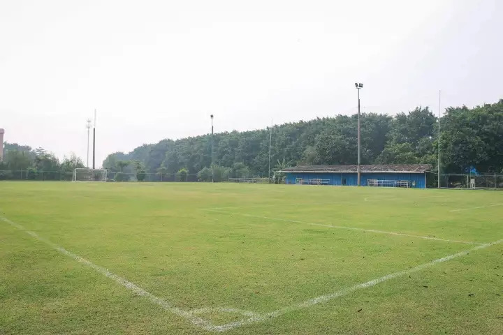 「送福利」天渐凉,烤全羊走起哟!南庄食肉兽别错过