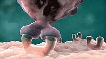 带你声临其境探索宇宙,带你探索维度空间